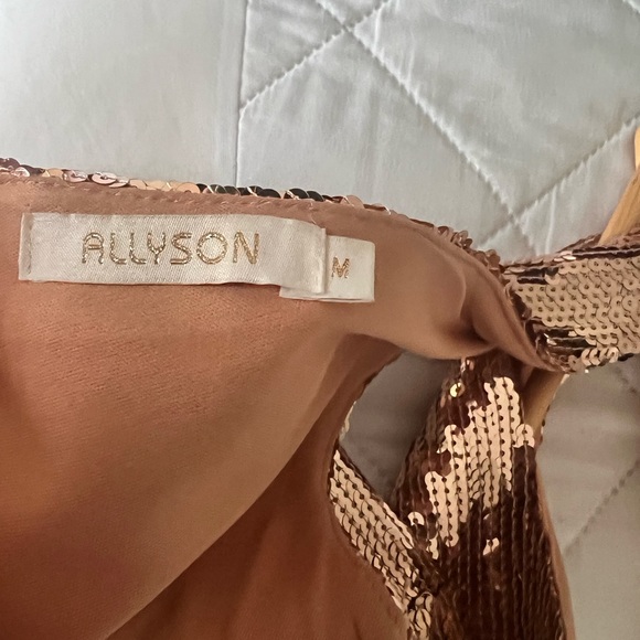 Beautiful Rose Gold Sequins Dress - Picture 4 of 7